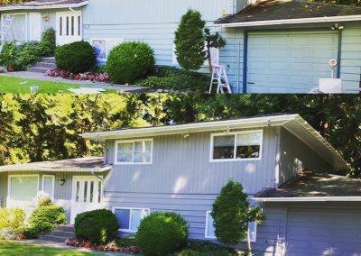 Before & After Exterior Painting